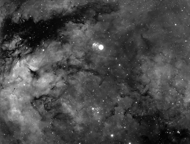 IC1318_24052014_nava.jpg