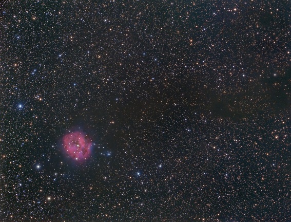 IC5146 Cocoon Nebula 220710 CIRACI