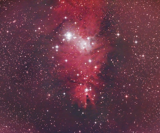 NGC2264 20090313 CIRA