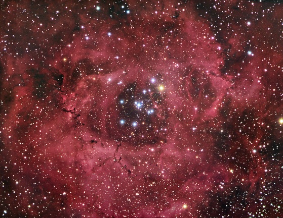 NGC2237 Rosette GP