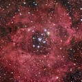 NGC2237 Rosette GP