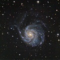 M101 x1280 GP