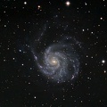 M101 GP-BP