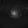 D Arminio M101