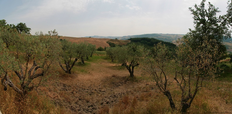 IMG 4125-31 Panorama DAVINO