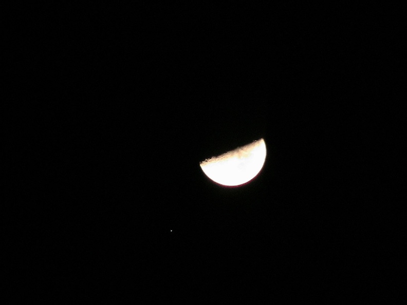 Luna-spica-14705.jpg