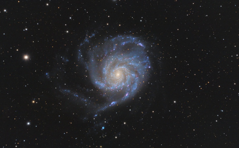 GAL-M101