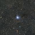 SPXXII-ASTRO POSTIGLIONE IRIS