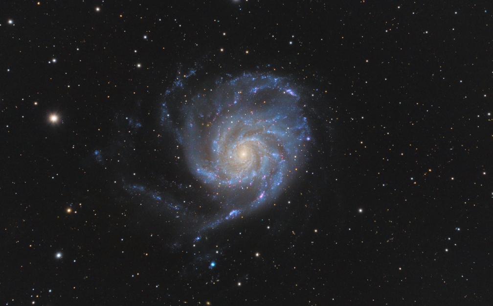 1 Giacomo Cuozzo M101